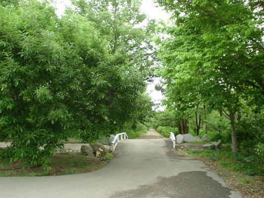 باغ گیاه شناسی ملی ایران-HslXXesKyX