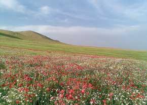 جاذبه گردشگری ناشناخته ایران-HvdcjqRg3r