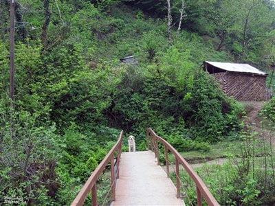 روستای شهربیجار-I3ap6JoUTh