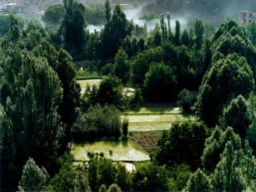 حاشیه رودخانه زاینده رود-IAeRkfTRPh