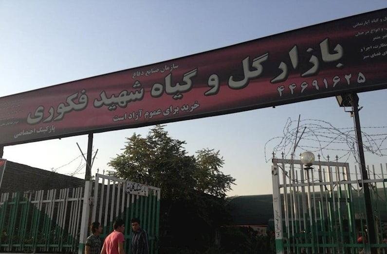 بازار گل شهید فكوری تهران-IIKECvLjjh