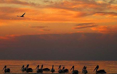 تالاب بین المللی خورآذینی واقع در استان هرمزگان-ILh2IHHIGA