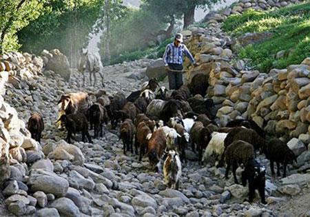 روستای لیقوان-ITex2qKDhA