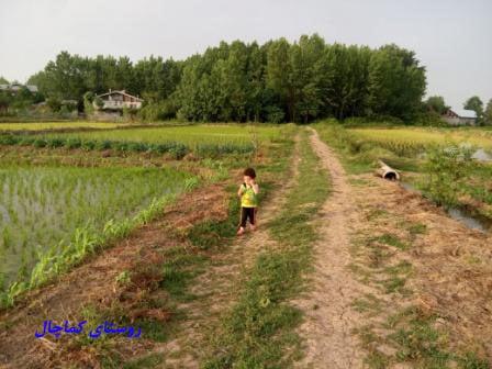روستای كماچال-IUZVFvy9iu