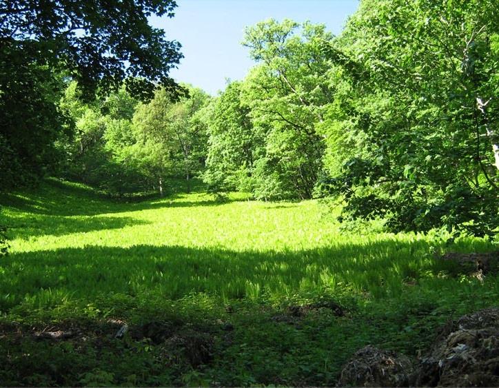 روستای قرن آباد-IVMoKrKkgX