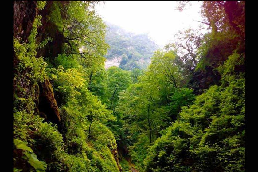 جنگل شصت كلا گرگان-IeGwCOzJB4