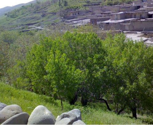 روستای تاریخی صور-IfymY46xbE