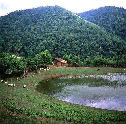 روستای دیگه سرا-InUZ4ffVKy