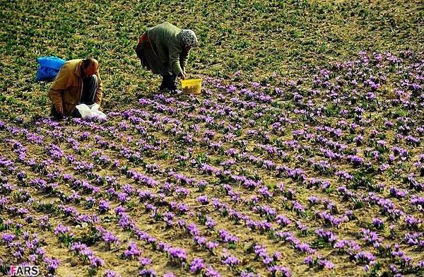 روستای وامنان-IqnNEL8SPJ