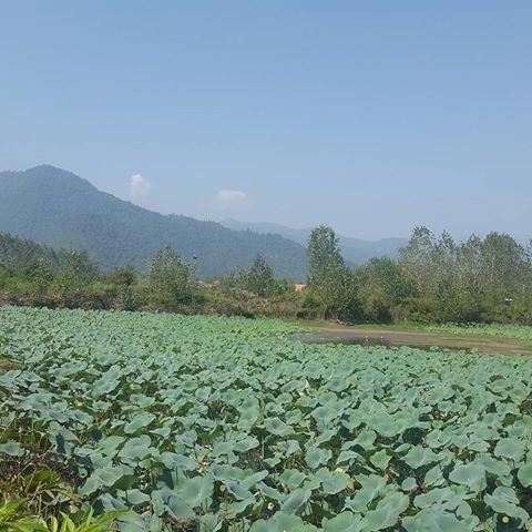 روستای پاشكم-IrIJBAJWcZ