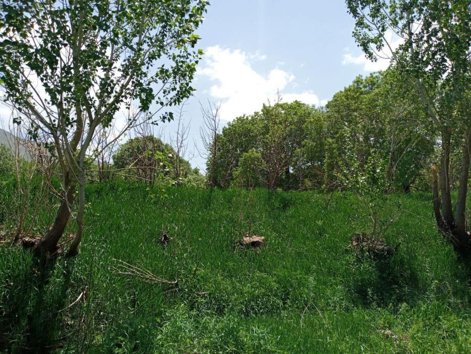 روستای وفرجین همدان-J3IK35szZm