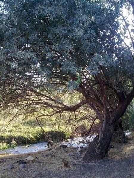 روستای قلعه باباخان-J6gqhQvpqA