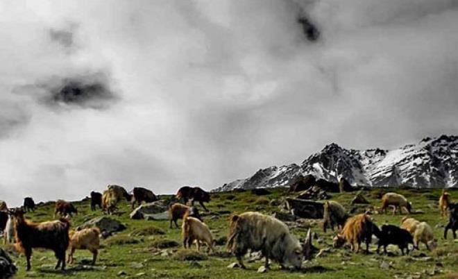 روستای الیت-J7nyywpUmu