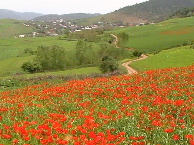 روستاهای ساری ( معرفی ۳۹۰ روستای ساری )-J8Gw3Sa4xe