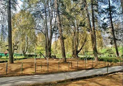 آشنایی با باغ زیبای هارون در كشمیر-JFHDK4hGTW