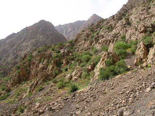 شهر فیروزآباد لرستان-JQ7XxD0tSM
