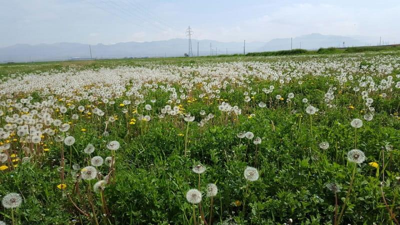 روستای زرگر ، روستای ایرانی اروپایی !-JUfGiC9iHf