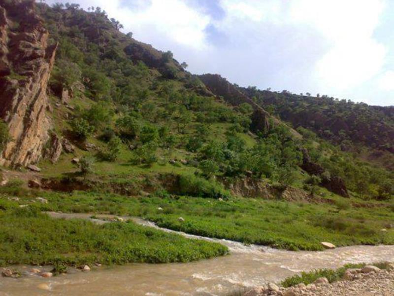 روستای میان تنگ منصوری اسلام آباد غرب-JW0nMLbdIw