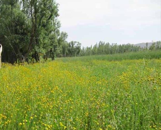 روستای اسفرجان-JYdmEXZppa