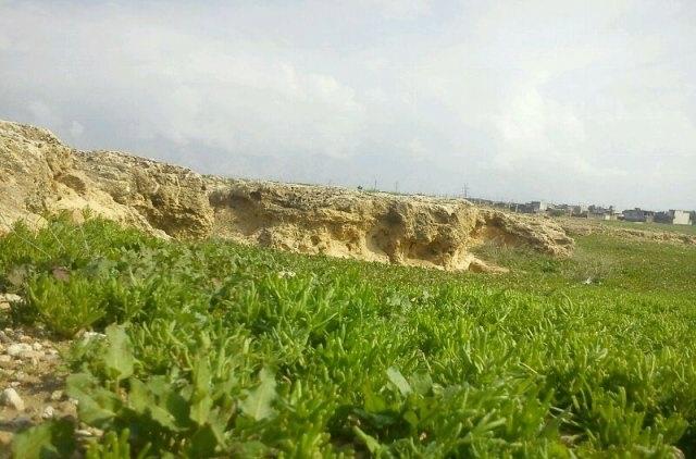 شهر بردستان-JcVSOMeVHe