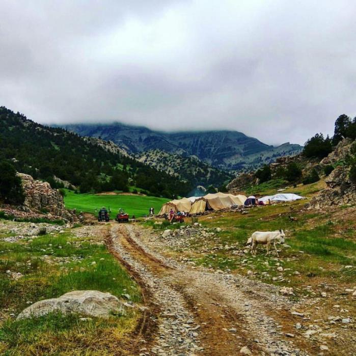 نور علی و عرب چاه-JgToRahcXx