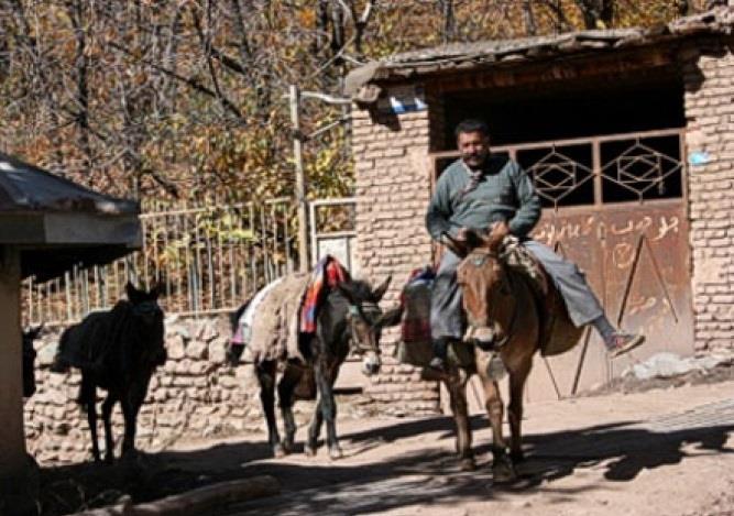روستای آهار-Jj2lTHs6Jq