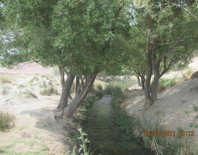 پارك سرچشمه نهر مسیح-JnECe0uFFj