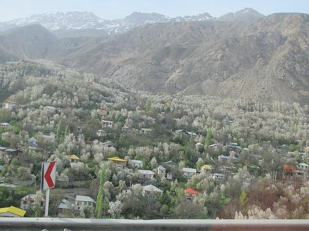 روستای وانا-JnogRjLOQi