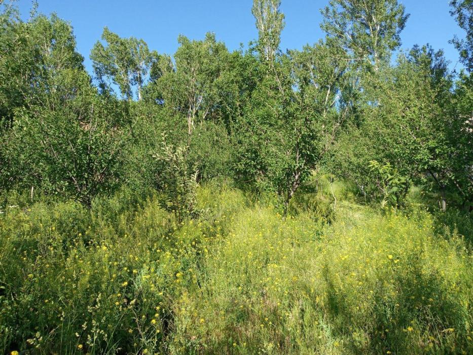 روستای وفرجین همدان-JvBOxwWFN2