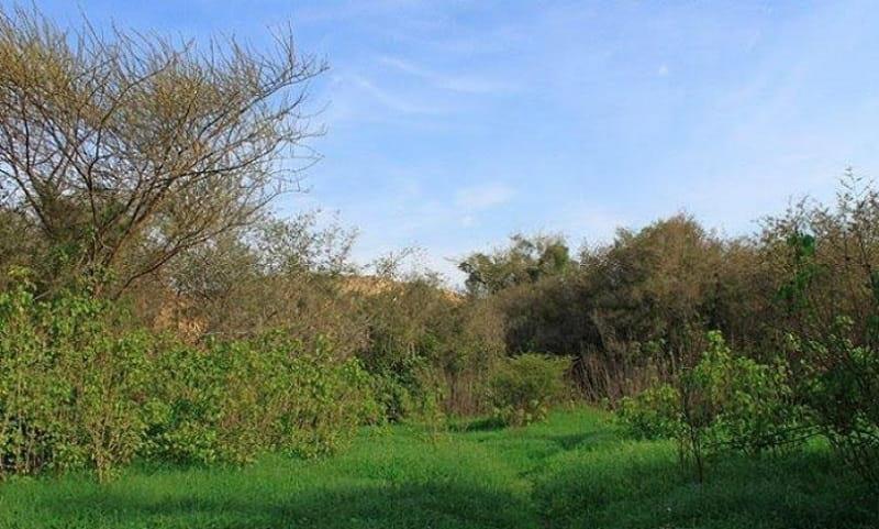 بام قشم-JyDMXwMQcJ