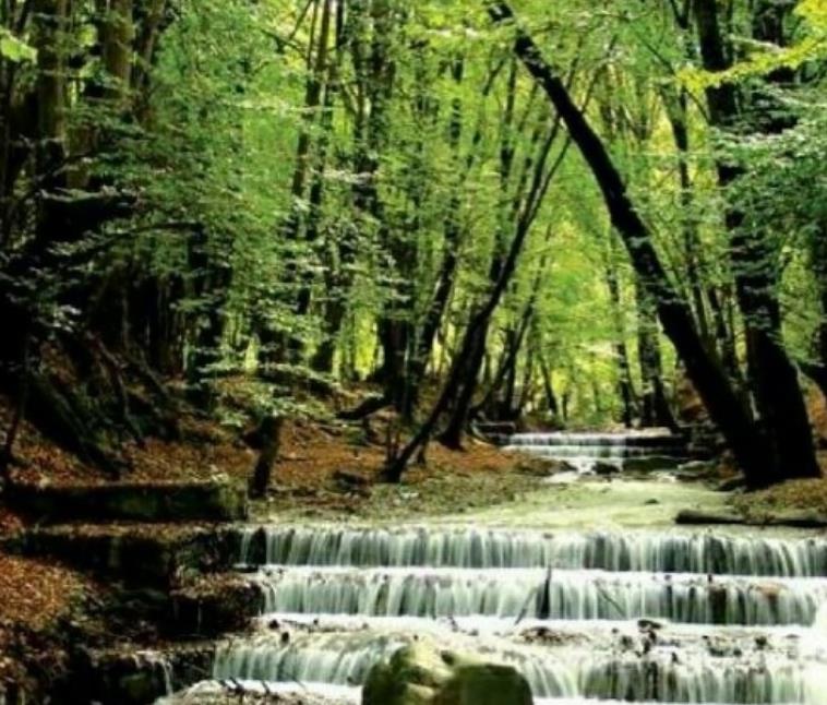 ۲۰ جای دیدنی گلستان در تابستان-K5zcYeu1y3