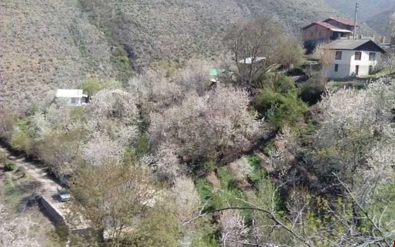 روستای ناصرآباد كجور-K6ciW9Bu9T
