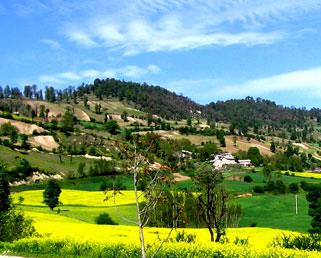روستای پاسند-K7DvhLx01t
