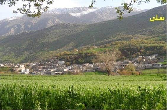 روستای تفلی-KNHT9zzDXd