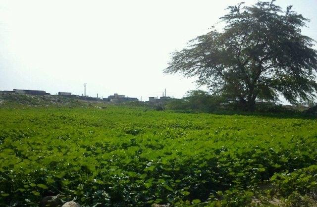 شهر بردستان-KOceXxhthE