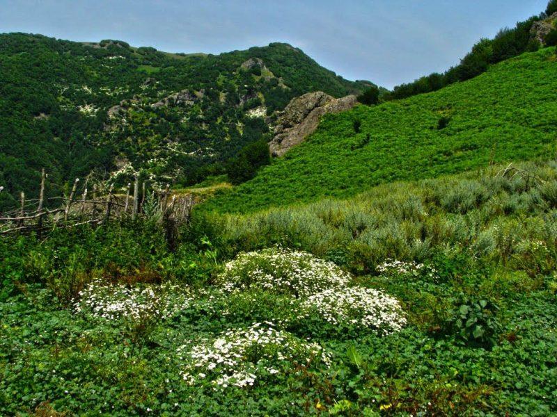 روستای كوته كومه-KWADnjkYBv