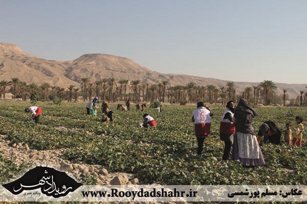 روستای زینل آباد-KYX1Th3ROq