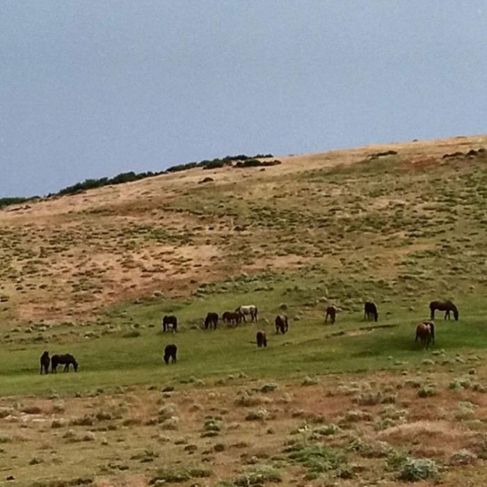 روستای سنگرج-Kc04TeiCfi