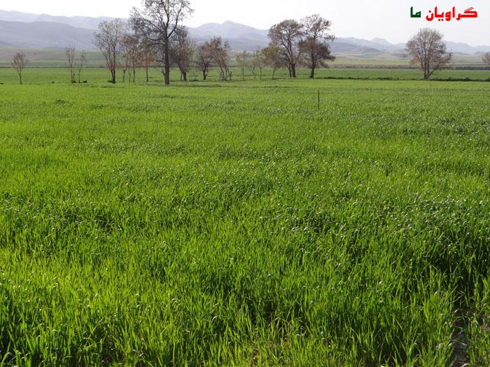 روستای گراویان سفلی-KmEyn8YJjE