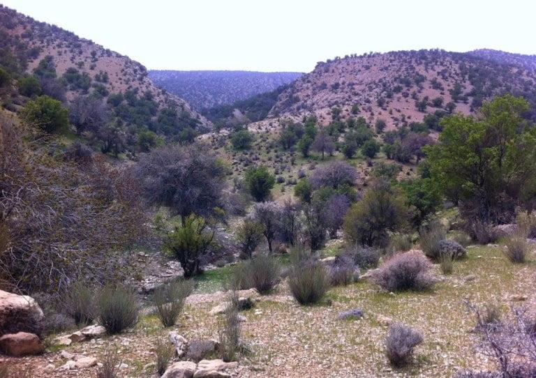 روستای اوك جهرم-KonGGcwDhI