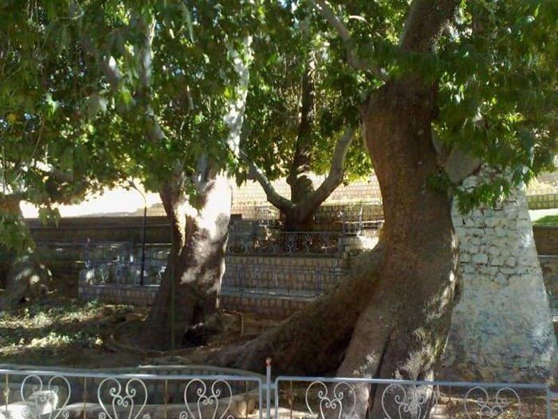 چشمه سیاسرد بروجن-KpgwZq638V