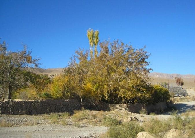 روستای طزنج-KphE8kIM26