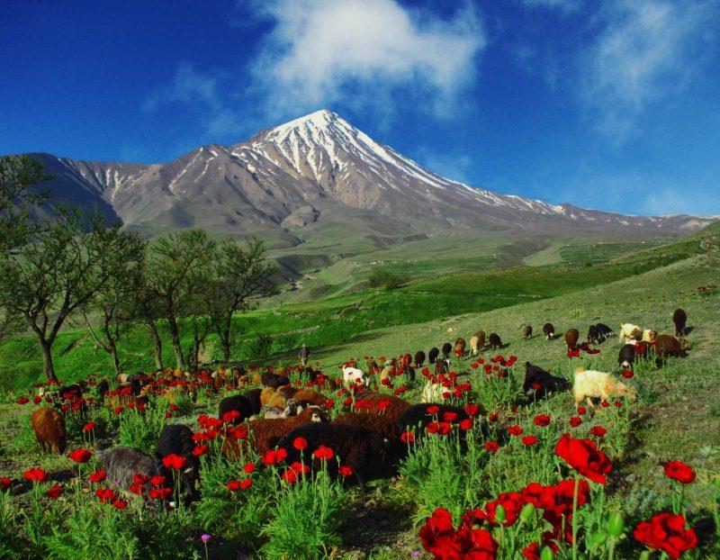 دره زمان پلور استان مازندران, آمل-Kz9m8k1fdI