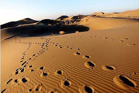 سفرهای خاطره انگیز در پاییز-LCunl2FaCt