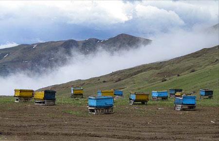 حیران، نام روستایی است در شهرستان آستارا واقع در استان گیلان. جمعیت رسمی این روستا حدود ۷۰ خانوار است. این روستا به دلیل زیبایی طبیعی آن ، به عنوان یكی از منطقه های نمونه گردشگری در ایران به شمار-LDN4pbBRva