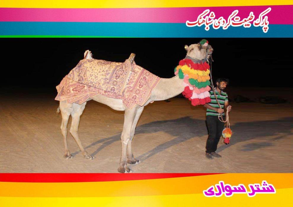 پارك طبیعت گردی شباهنگ-LG5zZoln4o