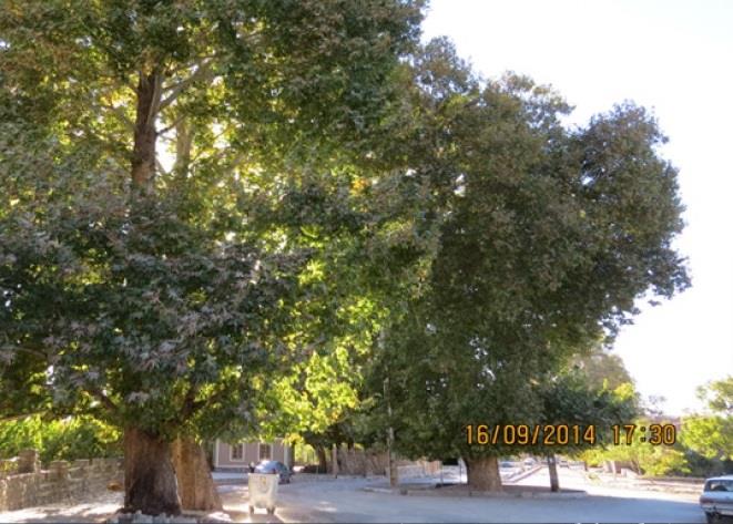 روستای سكنج-Lbb3eB8Egj
