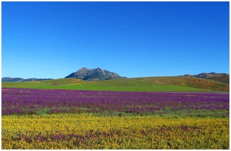 روستای واوسر مازندران-Ld1nQXJdSW