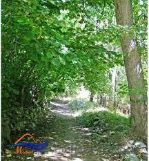 منطقه ییلاقی خلجستان-LfdCr8GFSH