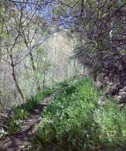 روستای كندوله-LgHEd62SLk